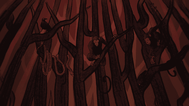 treetops
